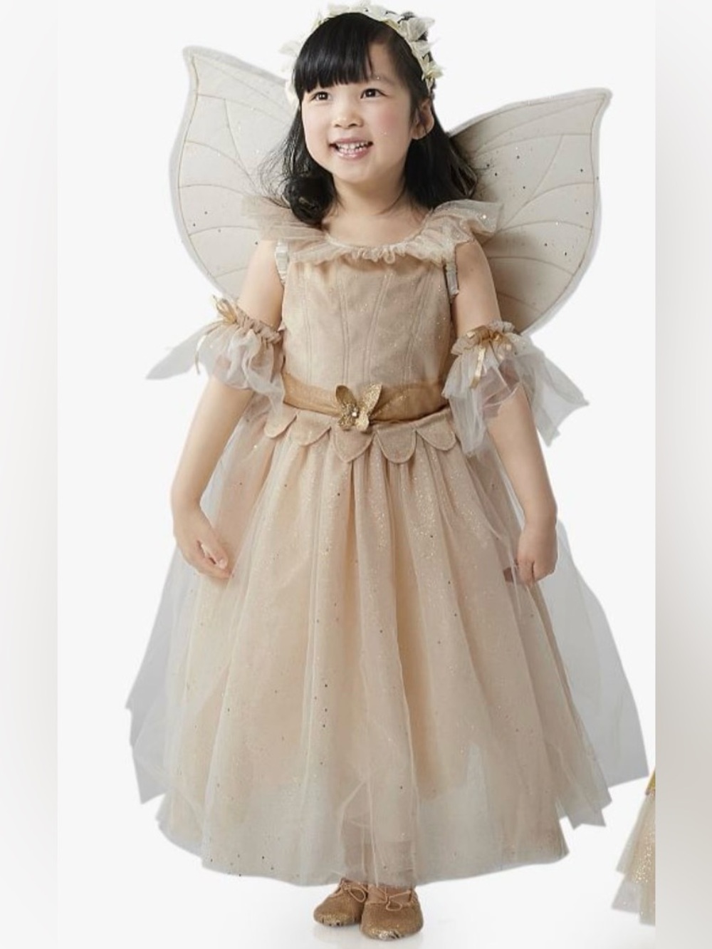 Pottery Barn Kids Light-up Fairy Costume with Wings